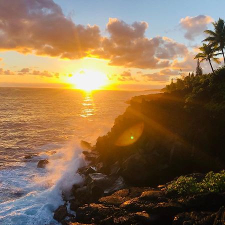 Wild Blue Water Apartment Pahoa Luaran gambar