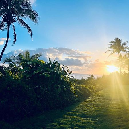 Wild Blue Water Apartment Pahoa Luaran gambar