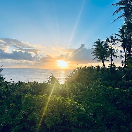 Wild Blue Water Apartment Pahoa Luaran gambar