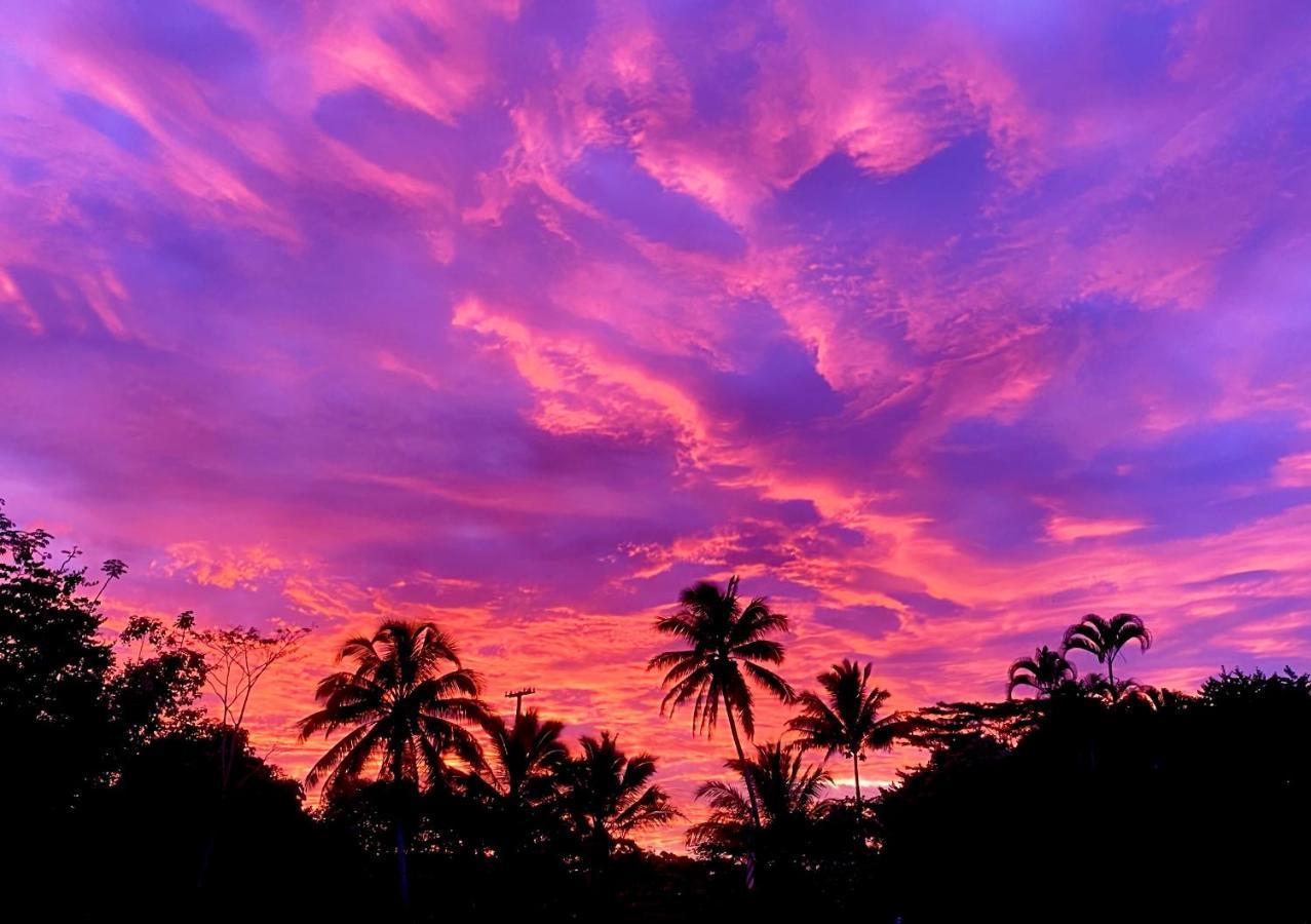 Wild Blue Water Apartment Pahoa Luaran gambar