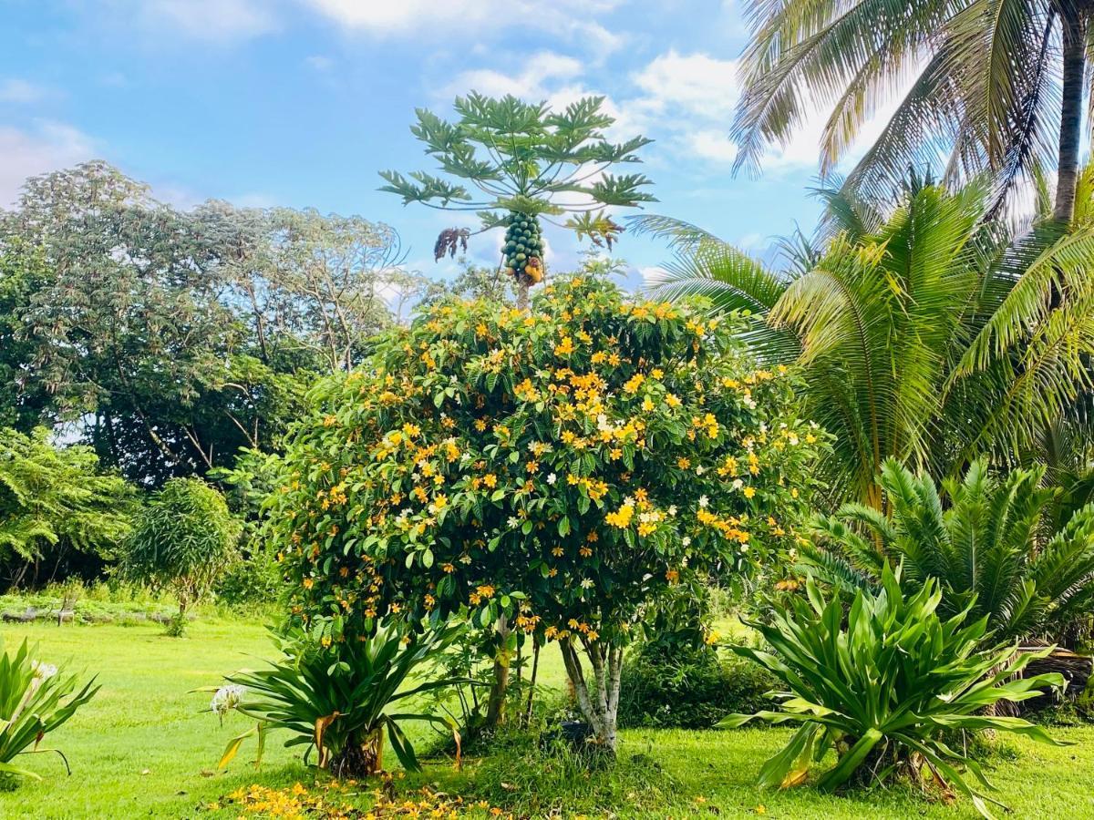 Wild Blue Water Apartment Pahoa Luaran gambar