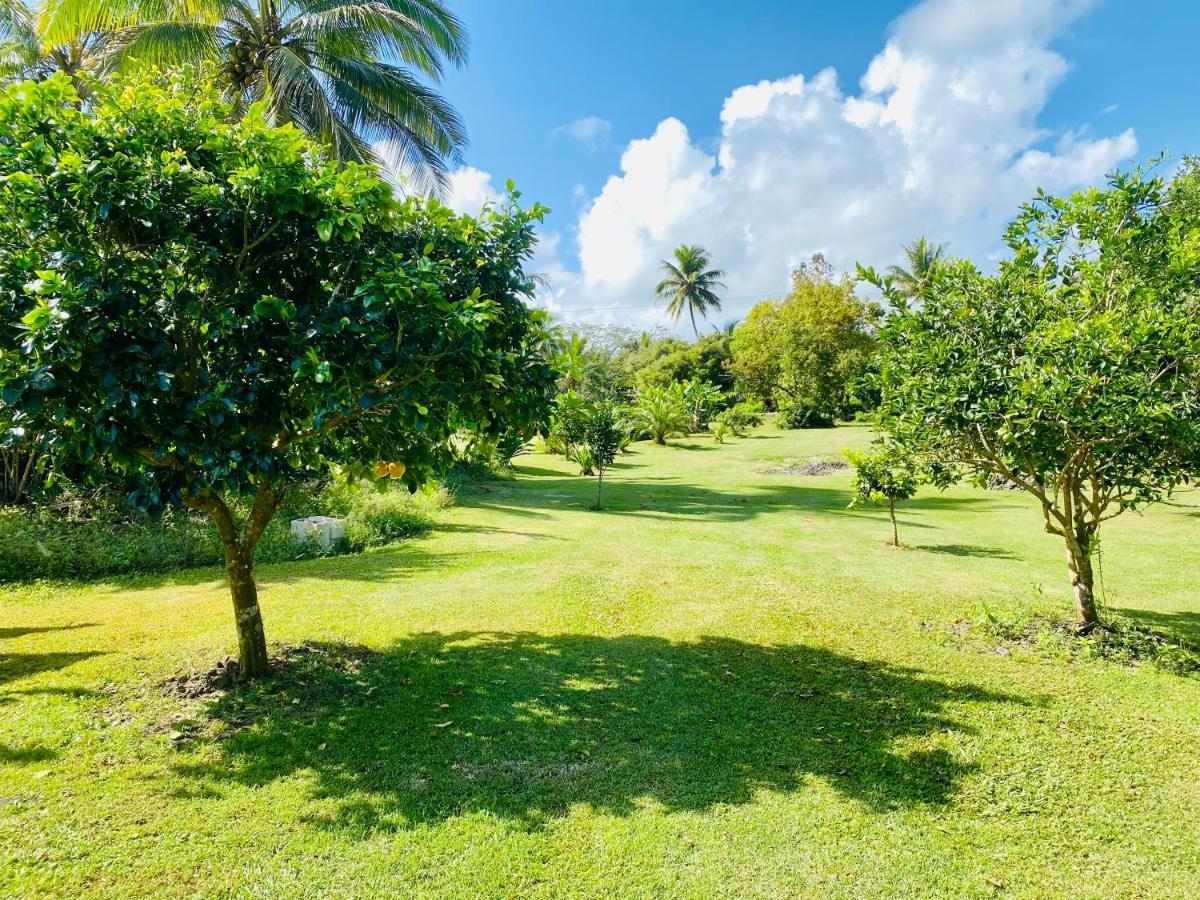 Wild Blue Water Apartment Pahoa Luaran gambar