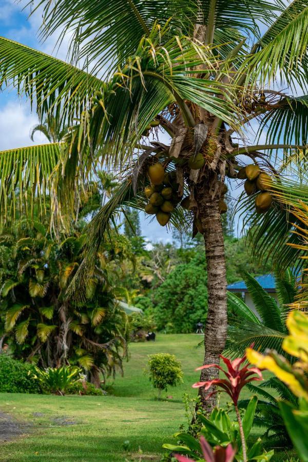 Wild Blue Water Apartment Pahoa Luaran gambar