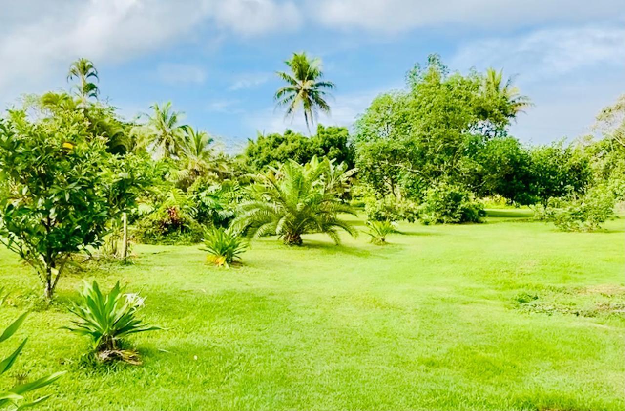 Wild Blue Water Apartment Pahoa Luaran gambar