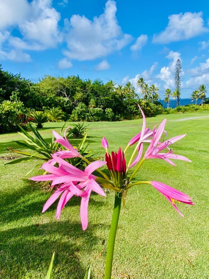 Wild Blue Water Apartment Pahoa Luaran gambar