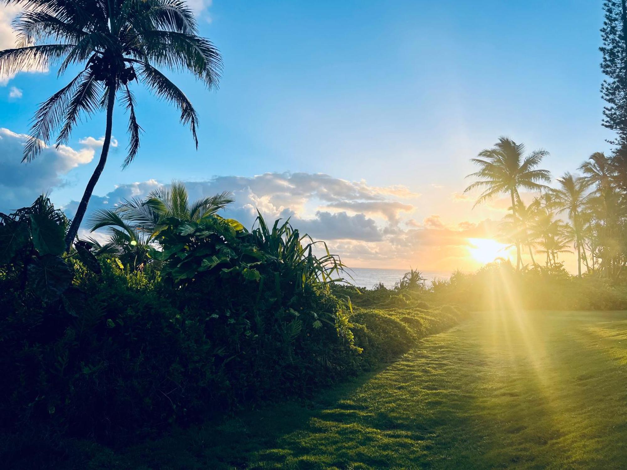 Wild Blue Water Apartment Pahoa Luaran gambar