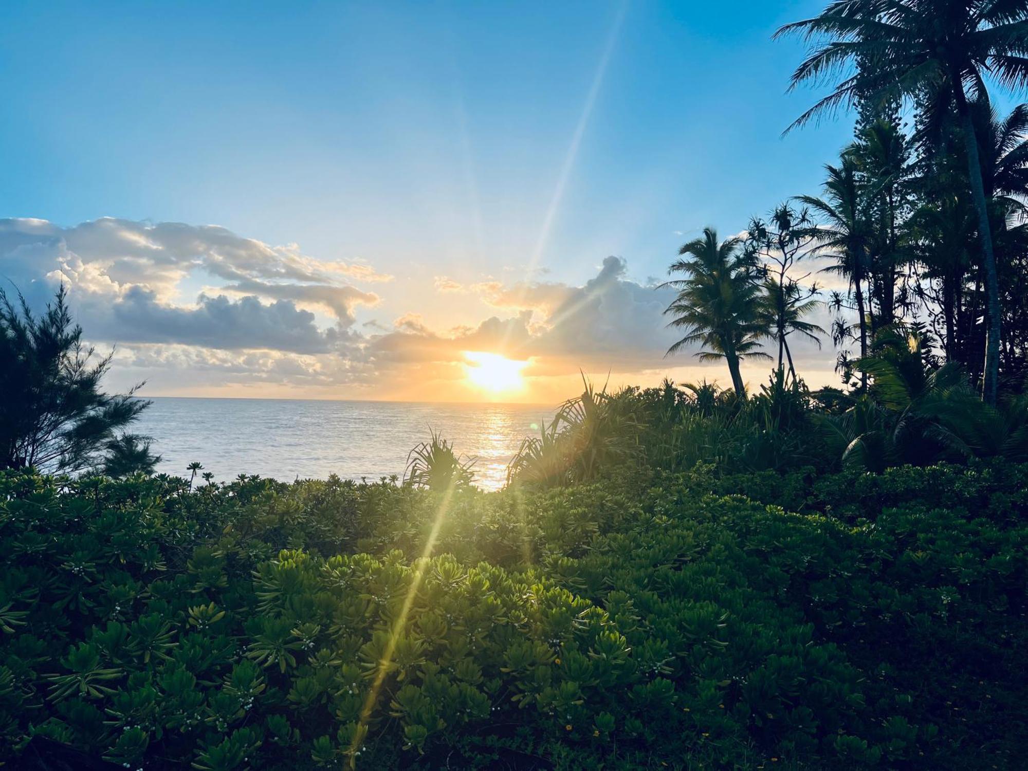 Wild Blue Water Apartment Pahoa Luaran gambar