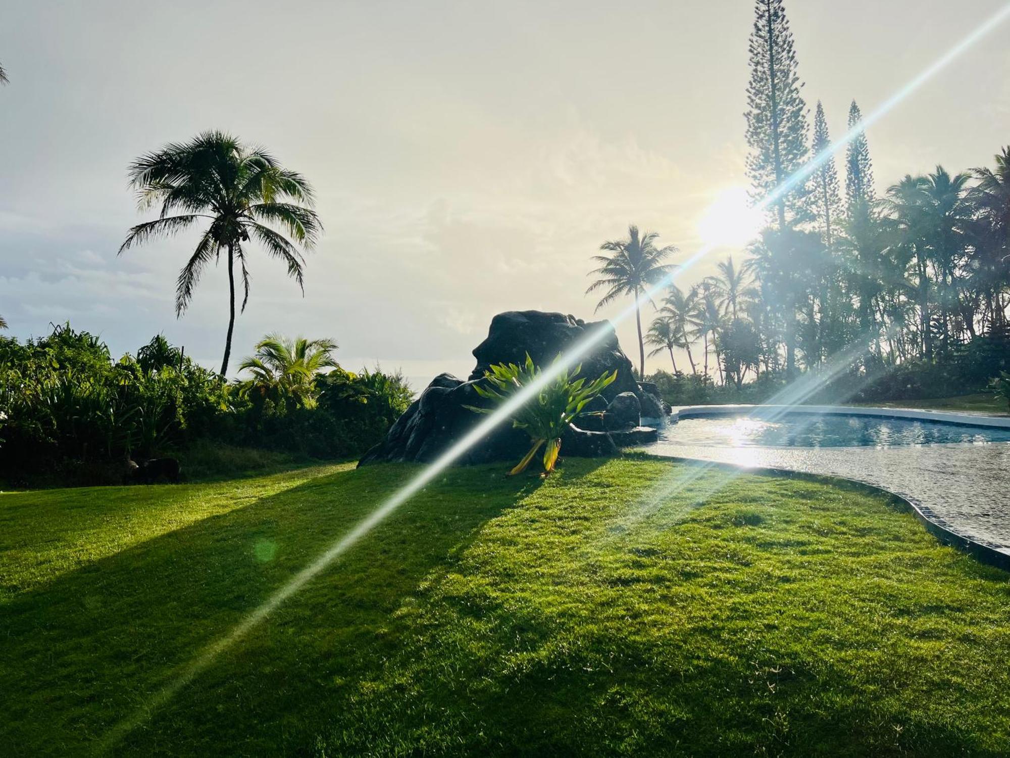 Wild Blue Water Apartment Pahoa Luaran gambar